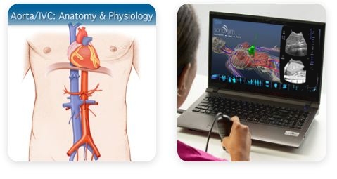 Self Photos / Files - Aorta ivc